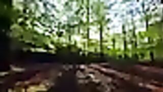 Deep in the forest batch