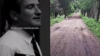 Aprovecha cada momento de la vida día a día