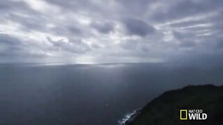 Welcome to Snake Island _ Brazil.