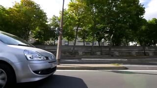 Why Dogs Stick Their Heads Out Of Car Windows - Pets- Wild At Heart - BBC Earth.
