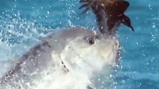 سبحان الله 9