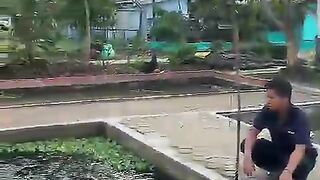 Selamat pagi sahabat Patiler's, salam 1000 ekor untung besar ????????????