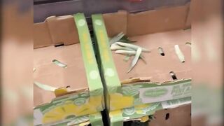 To ACCESS the FULL VIDEOS of LEAKS, 116