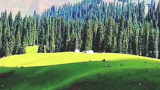 3023,status,status video,status song,status whatsap,beast song,good song,video,natural 968