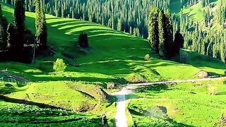 1029,status,status video,status song,status whatsap,beast song,good song,video,natural 2
