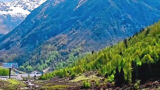 1031,status,status video,status song,status whatsap,beast song,good song,video,natural