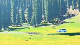 1032,status,status video,status song,status whatsap,beast song,good song,video,natural