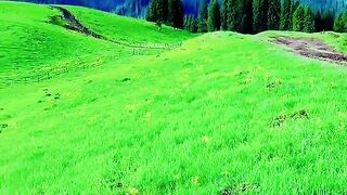 3035,status,status video,status song,status whatsap,beast song,good song,video,natural