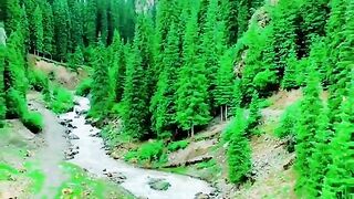 3036,status,status video,status song,status whatsap,beast song,good song,video,natural