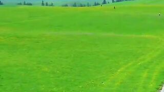 3037,status,status video,status song,status whatsap,beast song,good song,video,natural