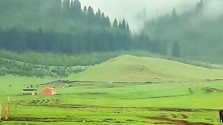 3038,status,status video,status song,status whatsap,beast song,good song,video,natural