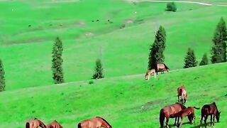 3039,status,status video,status song,status whatsap,beast song,good song,video,natural