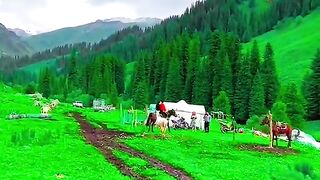 3043,status,status video,status song,status whatsap,beast song,good song,video,natural