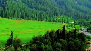 3044,status,status video,status song,status whatsap,beast song,good song,video,natural 2