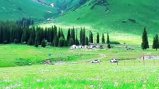 3045,status,status video,status song,status whatsap,beast song,good song,video,natural