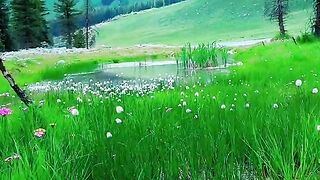 3046,status,status video,status song,status whatsap,beast song,good song,video,natural