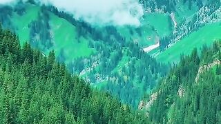 3048,status,status video,status song,status whatsap,beast song,good song,video,natural