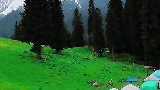 3050,status,status video,status song,status whatsap,beast song,good song,video,natural 2