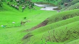 3055,status,status video,status song,status whatsap,beast song,good song,video,natural 2