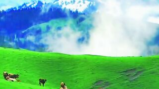3058,status,status video,status song,status whatsap,beast song,good song,video,natural