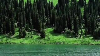 3060,status,status video,status song,status whatsap,beast song,good song,video,natural