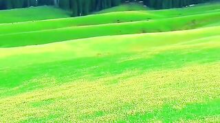 3065,status,status video,status song,status whatsap,beast song,good song,video,natural