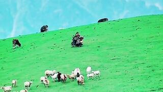 3066,status,status video,status song,status whatsap,beast song,good song,video,natural