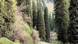 3068,status,status video,status song,status whatsap,beast song,good song,video,natural