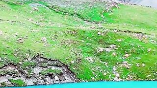 3069,status,status video,status song,status whatsap,beast song,good song,video,natural