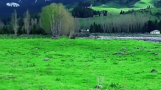 3070,status,status video,status song,status whatsap,beast song,good song,video,natural