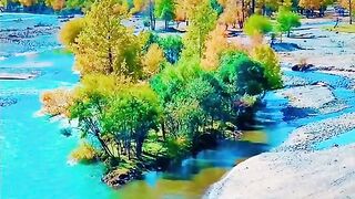 3071,status,status video,status song,status whatsap,beast song,good song,video,natural 2