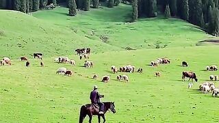 3075,status,status video,status song,status whatsap,beast song,good song,video,natural