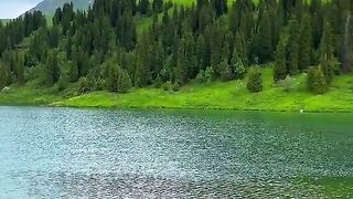 3078,status,status video,status song,status whatsap,beast song,good song,video,natural