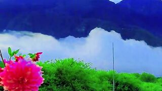 3087,status,status video,status song,status whatsap,beast song,good song,video,natural