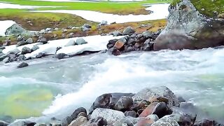 3088,status,status video,status song,status whatsap,beast song,good song,video,natural