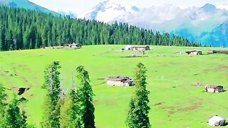 3089,status,status video,status song,status whatsap,beast song,good song,video,natural