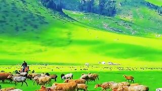 3090,status,status video,status song,status whatsap,beast song,good song,video,natural