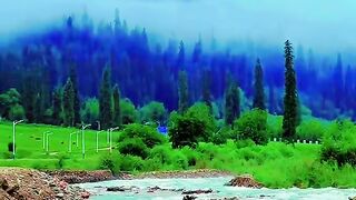 3092,status,status video,status song,status whatsap,beast song,good song,video,natural