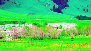 3093,status,status video,status song,status whatsap,beast song,good song,video,natural