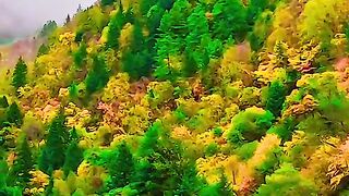 3095,status,status video,status song,status whatsap,beast song,good song,video,natural