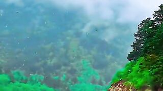 3096,status,status video,status song,status whatsap,beast song,good song,video,natural