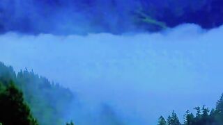 3097,status,status video,status song,status whatsap,beast song,good song,video,natural