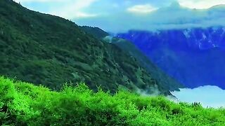 3098,status,status video,status song,status whatsap,beast song,good song,video,natural