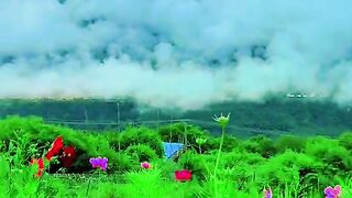 3099,status,status video,status song,status whatsap,beast song,good song,video,natural 2