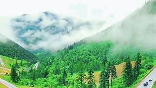 3101,status,status video,status song,status whatsap,beast song,good song,video,natural