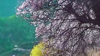 3103status,status video,status song,status whatsap,beast song,good song,video,natural