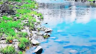 3104,status,status video,status song,status whatsap,beast song,good song,video,natural