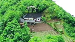 3110,status,status video,status song,status whatsap,beast song,good song,video,natural