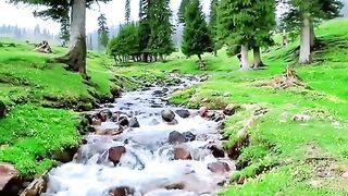 3112,status,status video,status song,status whatsap,beast song,good song,video,natural