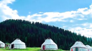 3114,status,status video,status song,status whatsap,beast song,good song,video,natural